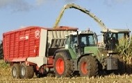 lely tigo xr mini New Holland CR 9.90 Revelation w kukurydzy   FOTO