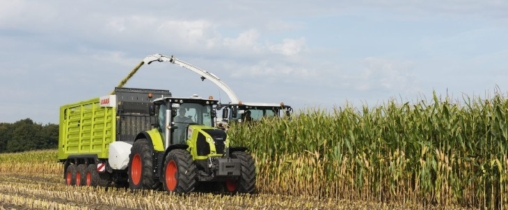 Claas Axion 800 Kukurydza 2020 – Claas Jaguar 950 i 1100 KM w transporcie – FOTO