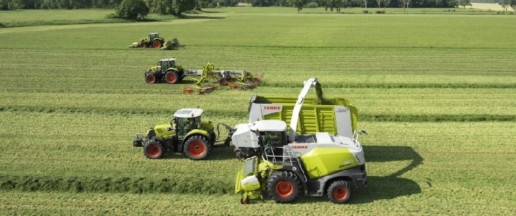 Claas pokazy Kombajn Grimme Varitron 270 (354 KM) na polach w Parchaniu podczas zbioru marchewki   FOTO