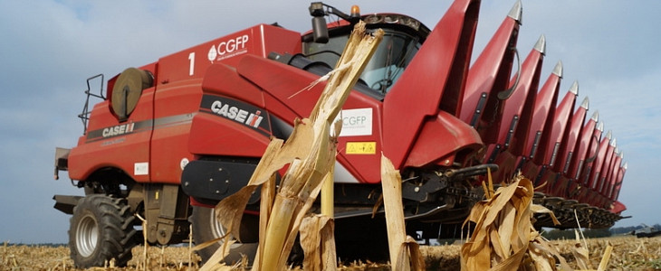 CGFP Case IH kukurydza 2015 film Dwa giganty w kukurydzy. Kombajny Case IH 9240 i 8240 na polach CGFP