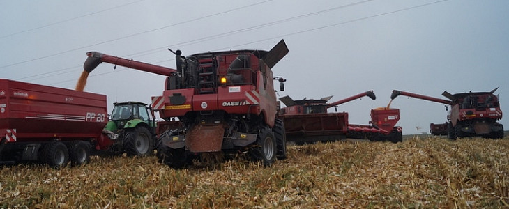 CGFP kukurydza 2015 cz3 Kombajny Case IH 8230 Axial Flow w mokrej kukurydzy (VIDEO)