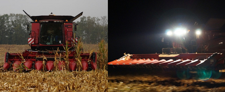 CGFP kukurydza 2015 dzien i noc Kombajny Case IH serii 240   kolejne udoskonalenia w modelach na rok 2016