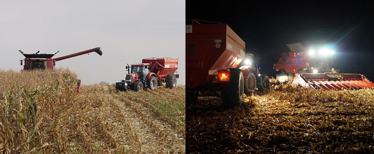 CGFP kukurydza 2015 dzien i noc filmy Dwa giganty w kukurydzy. Kombajny Case IH 9240 i 8240 na polach CGFP