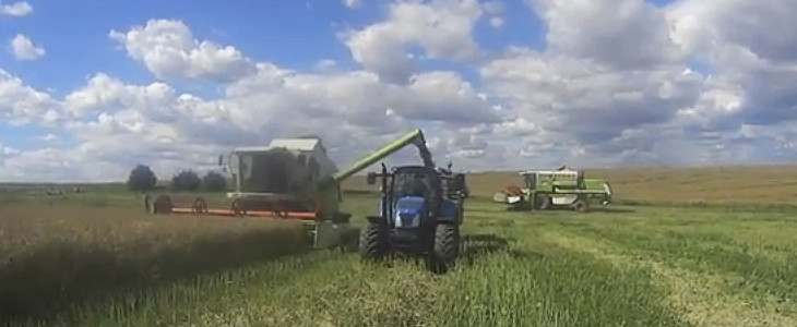 Claas New Holland rzepak 2016 film Rozpoczynają się pokazy żniwne Claas