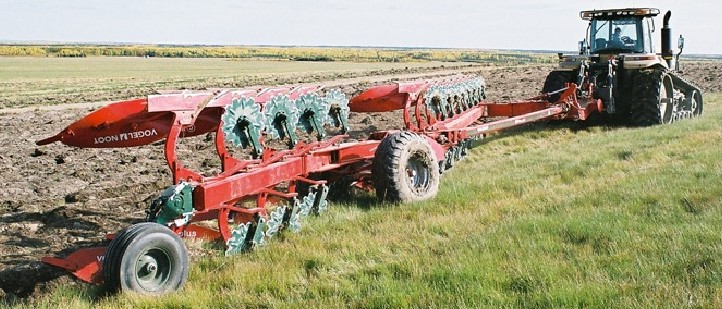 Amazone Vogel Noot Marchewkowy potwór w akcji! Kombajn samobieżny Dewulf   VIDEO