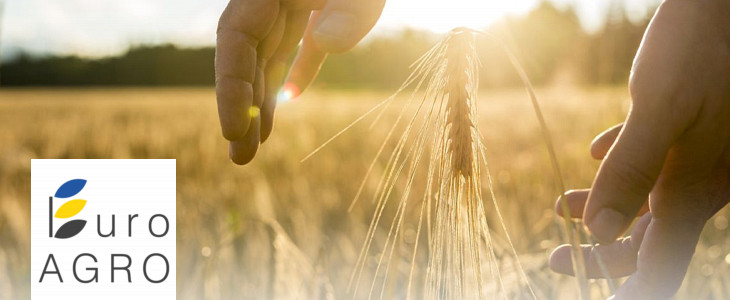 Euro Agro Lwow 2016 targi rolnicze Ukraina Dobry start targów rolniczych EuroAgro we Lwowie