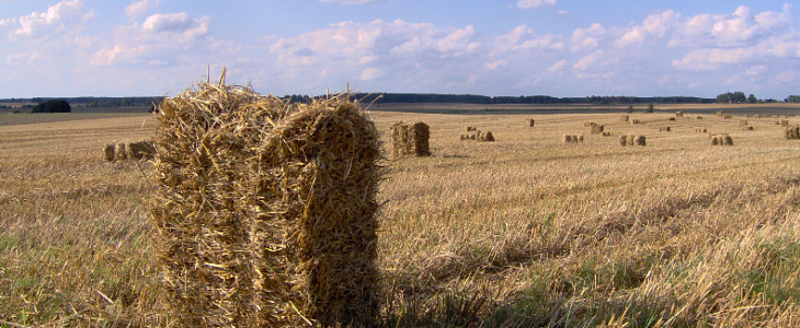 Bioelektrownie na slome Ciągniki Belarus – zmodernizowane i w nowej stylistyce