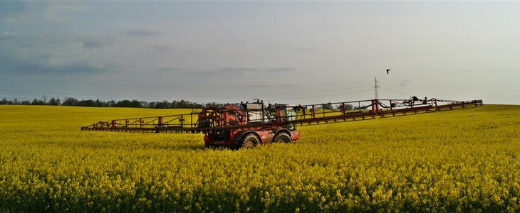 CGFP opryski 2017 fotogaleria New Holland T7.270 z kultywatorem Pöttinger SYNKRO 4030 w uprawie   FOTO