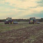 DSC09018 150x150 John Deere 7310R i 8260R w uprawie pożniwnej   FOTO