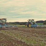 DSC09019 150x150 John Deere 7310R i 8260R w uprawie pożniwnej   FOTO