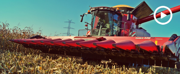 CGFP Case IH Kukurydza na ziarno 2017 film Potrójny zestaw kosiarek KUHN w lucernie