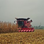 DSC00352 150x150 Dwa giganty w kukurydzy. Kombajny Case IH 8240 i 9240 na polach CGFP   FOTO