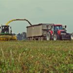 DSC09382 150x150 Sieczkarnia John Deere 7350 i wielkie przyczepy z CGFP w zbiorze lucerny   FOTO