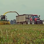 DSC09382 150x150 Sieczkarnia John Deere 7350 i wielkie przyczepy z CGFP w zbiorze lucerny   FOTO