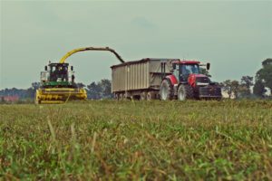 DSC09382 300x200 John Deere 7310R i 8260R w uprawie pożniwnej   FOTO