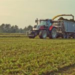 DSC09406 150x150 Sieczkarnia John Deere 7350 i wielkie przyczepy z CGFP w zbiorze lucerny   FOTO