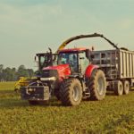 DSC09420 150x150 Sieczkarnia John Deere 7350 i wielkie przyczepy z CGFP w zbiorze lucerny   FOTO