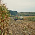 DSC09491 150x150 Mokro ale walczą! W ciągniki Deutz Fahr i John Deere + Claas Jaguar 840   FOTO