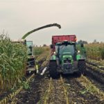 DSC09494 150x150 Mokro ale walczą! W ciągniki Deutz Fahr i John Deere + Claas Jaguar 840   FOTO