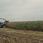 DSC09507 150x150 Mokro ale walczą! W ciągniki Deutz Fahr i John Deere + Claas Jaguar 840   FOTO
