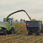 DSC09519 150x150 Mokro ale walczą! W ciągniki Deutz Fahr i John Deere + Claas Jaguar 840   FOTO