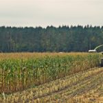 DSC09531 150x150 Mokro ale walczą! W ciągniki Deutz Fahr i John Deere + Claas Jaguar 840   FOTO