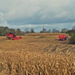 DSC09825 150x150 Wtopa za wtopą ale kukurydza sypie się dalej! W polu maszyny Case IH i John Deere   FOTO