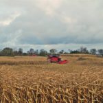 DSC09830 150x150 Wtopa za wtopą ale kukurydza sypie się dalej! W polu maszyny Case IH i John Deere   FOTO