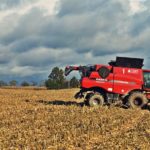 DSC09908 150x150 Wtopa za wtopą ale kukurydza sypie się dalej! W polu maszyny Case IH i John Deere   FOTO