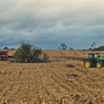 DSC09945 150x150 Wtopa za wtopą ale kukurydza sypie się dalej! W polu maszyny Case IH i John Deere   FOTO