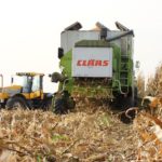 DSCF7256 150x150 Claas Commandor 114 CS w kukurydzy   FOTO