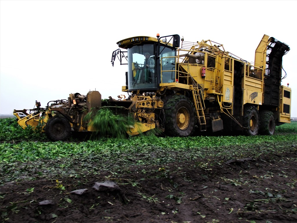 DSCF7590 2 Kombajn Ropa Eurotiger kopie seler, w transporcie John Deere 4755   VIDEO