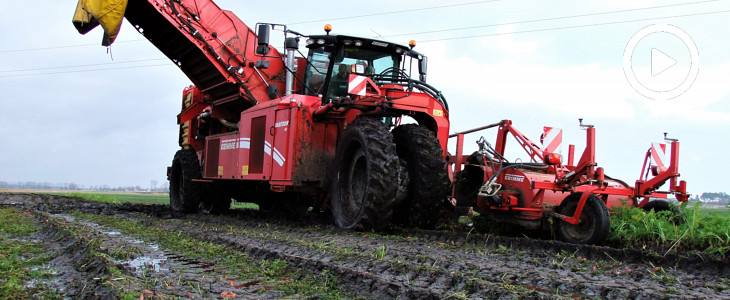 Grimme Varitron 270 zbior marchwi 2017 film John Deere 7R 290 II Gen na kujawskich polach   FOTO