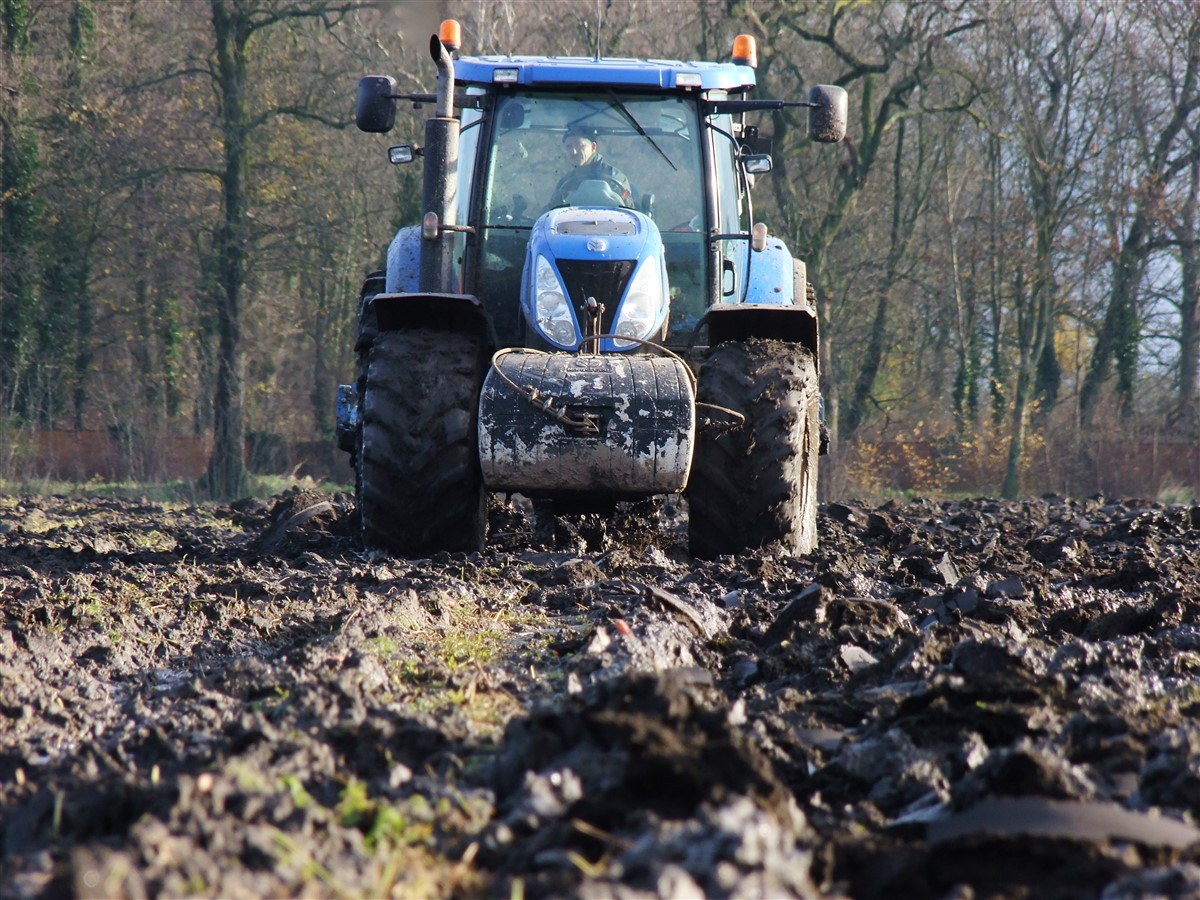DSCF7579 Siew kukurydzy z firmą Stal Tech Usługi Rolnicze. W polu New Holland T7.210 AC + Kverneland Optima V6
