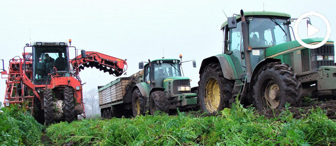 Pływające John Deere'y i tonący w błocie De Wulf ZK II walczą z marchewką - VIDEO