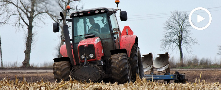 W zimowej błotnej orce: Massey Ferguson 6495 z pługiem Overum