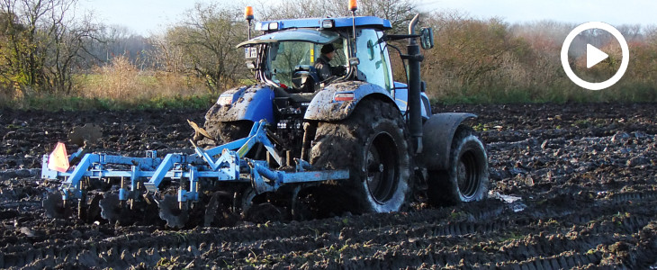 New Holland T7070 kultywator Mandam uprawa wtopai 2017 film Marchewkowy potwór w akcji! Kombajn samobieżny Dewulf   VIDEO