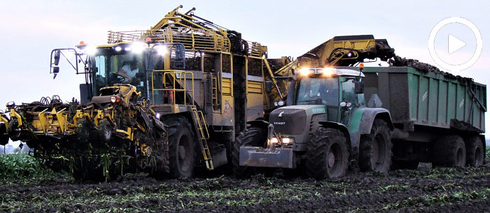 Błoto im nie straszne! Ropa Tiger 6 i Fendt 920 Vario kopią buraki