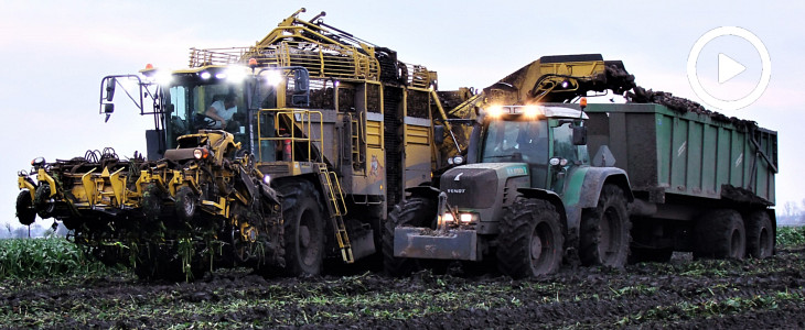 Błoto im nie straszne! Ropa Tiger 6 i Fendt 920 Vario kopią buraki