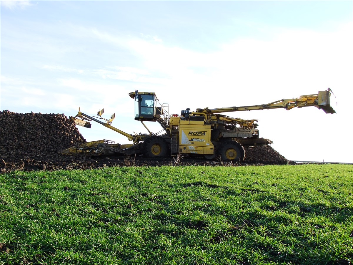 DSCF7215 FENDT i KRAMER   Demo Tour 2016