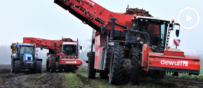 Dwa pokolenia kombajnu DeWulf RA3060 i ekipa New Holland w akcji - VIDEO