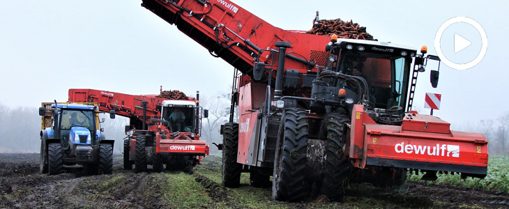 Dwa pokolenia kombajnu DeWulf RA3060 i ekipa New Holland w akcji - VIDEO