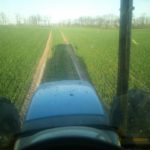 30743501 2123882871173962 1448813067327504384 n 150x150 Wiosna 2018 w Blue Team New Holland   FOTO