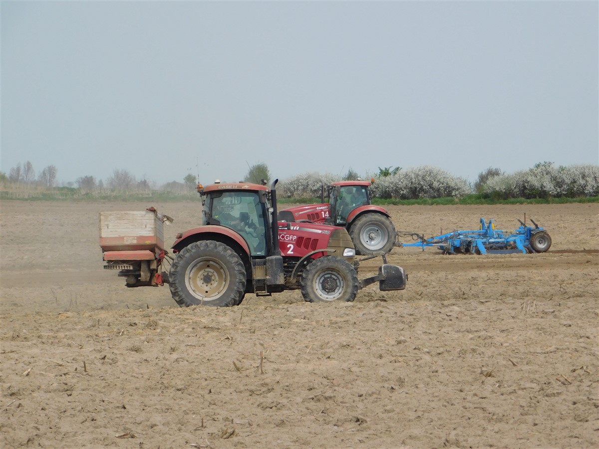 DSCN3415 Siew buraków w RZD Minikowo   w polu Case IH Puma 145 + siewnik Kverneland (FOTO)