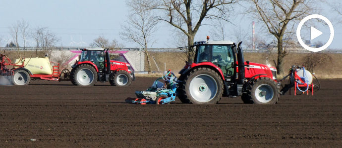 Siew cebuli w redlinach. W polu 2x Massey Ferguson i John Deere - VIDEO