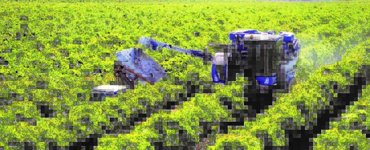 New Holland winogrono Bobcat wprowadza nową linię ciągników kompaktowych