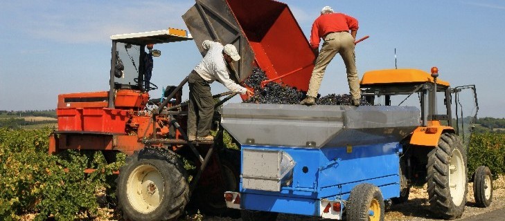 ubezpieczenia rolnicze Rolnik w czołówce niebezpiecznych zawodów