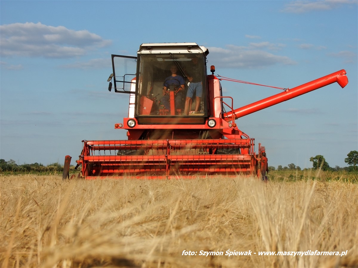 IS DSCF7008.JPG FENDT 5255 L MCS ? polowy pokaz kombajnu