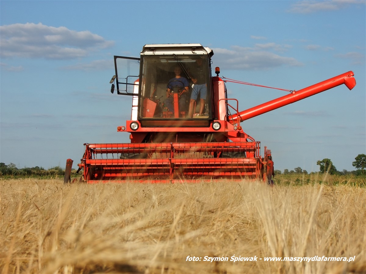 IS DSCF7008.JPG FENDT 5255 L MCS – polowy pokaz kombajnu