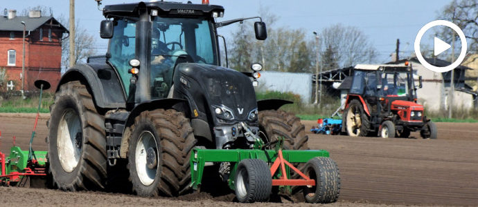 Massey Ferguson 7490, Valtra S374, Zetor 7011 - siew marchewki na Kujawach 2018